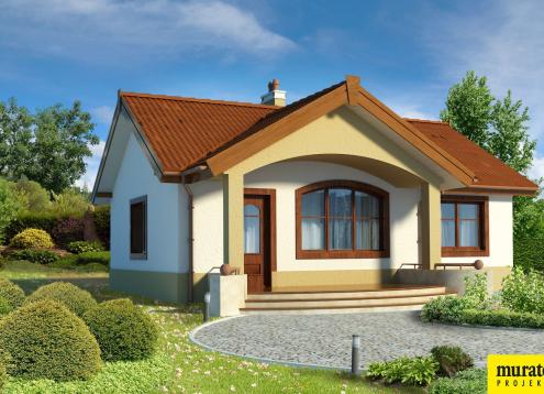 № 1383 Купить Проект дома Даинти. Закажите готовый проект № 1383 в Красноярске, цена 22835 руб.